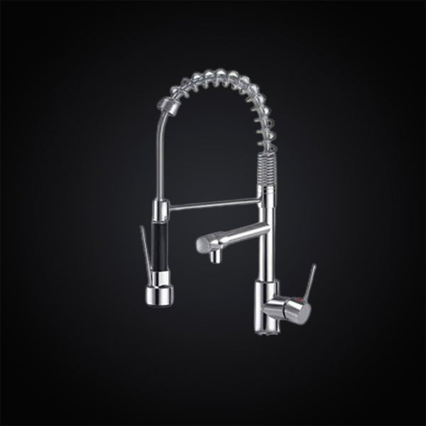 Triple Function Sink Faucet